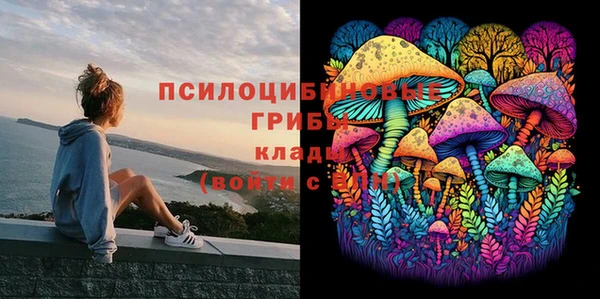 синтетический гашиш Алексин