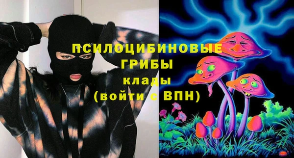 синтетический гашиш Алексин