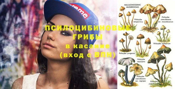 синтетический гашиш Алексин