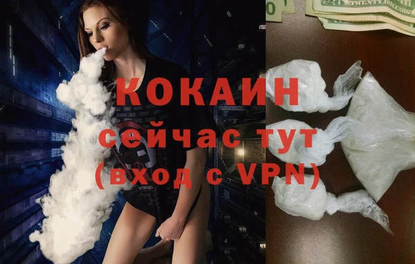 спайс Алзамай